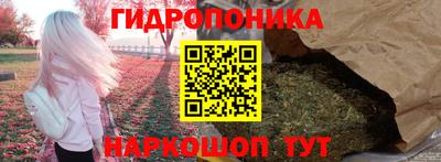 гашик Бузулук