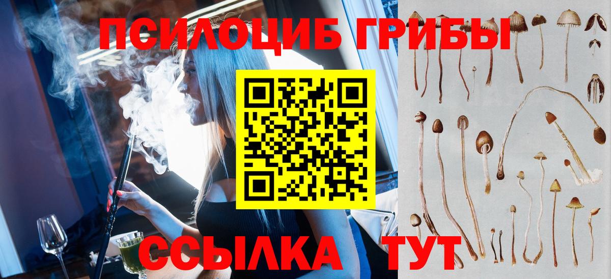где продают наркотики  Псилоцибиновые грибы прущие грибы  Вход с VPN  Отрадное 
