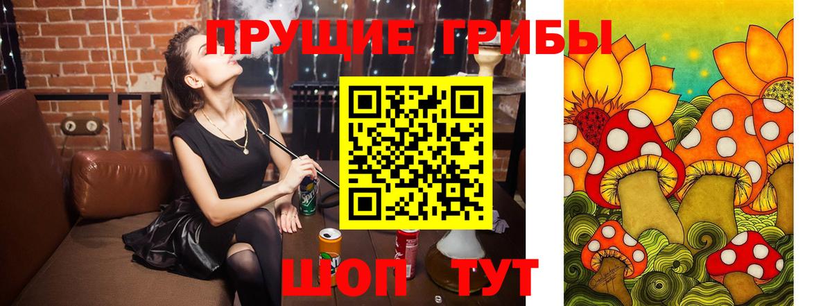 Псилоцибиновые грибы мицелий Отрадное