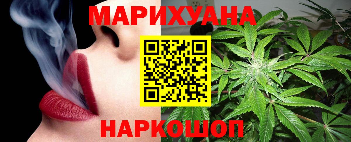 Марихуана сатива Отрадное